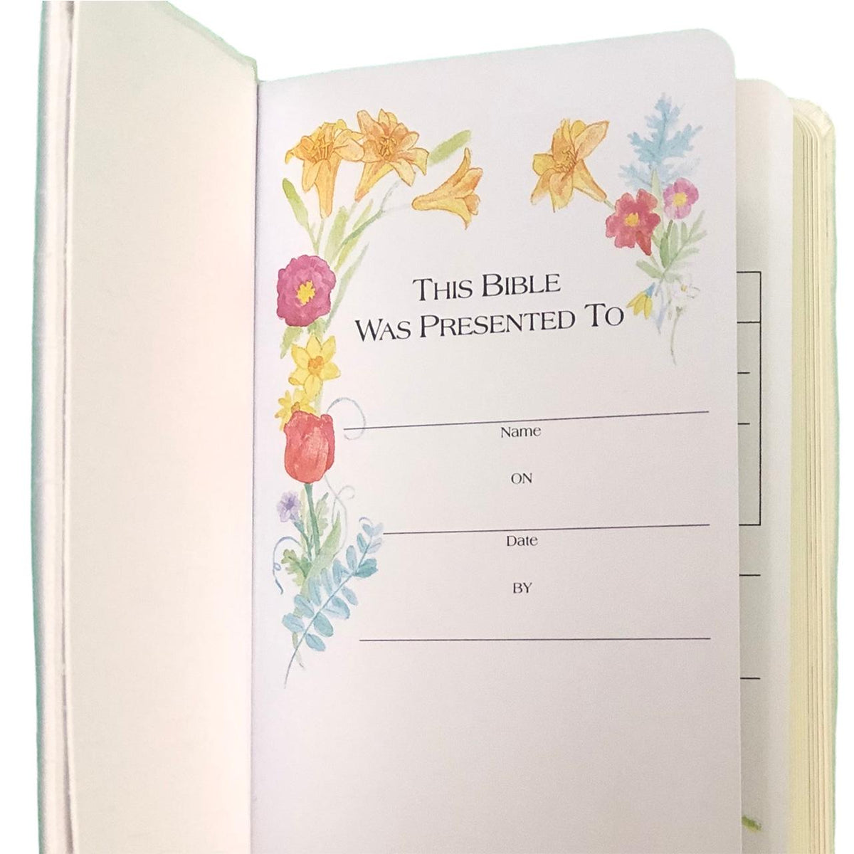 Personalized Baby’s First Bible – Microstripe Cotton with Split Cross Name Design (Name Included)