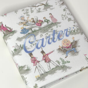 Baby-Memory-Book-KBRE-BG-Multicolored-Toile-Ballantines-Font-Baby-Blue-Thread