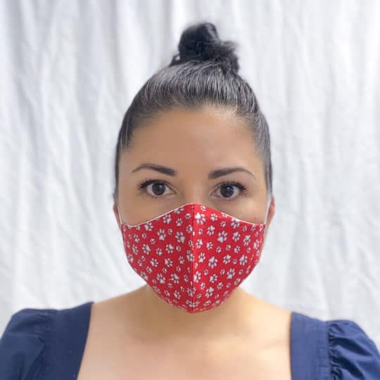 Marcela-Animal-Print-Face-Mask-Adult-Medium
