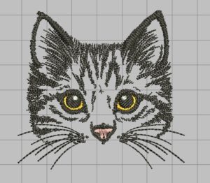 tabby cat custom design