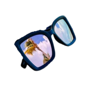 Kids Passport- Black with Pink Revo Lens