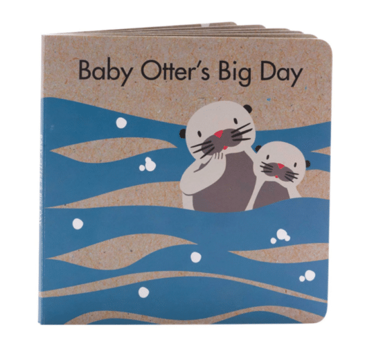 Otter's Big Day book 1