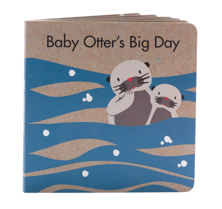 Otter's Big Day book 1