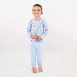 Dinosaurs Kids Long Sleeve Pajama Sets
