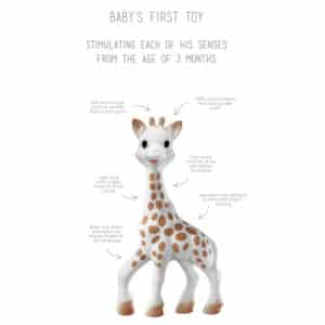 Sophie-la-Giraffe-New-specs