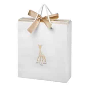 Sophisticated-2-Bag
