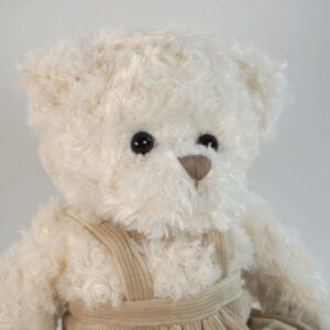 Baby Bear Plush Toy