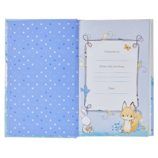 Blue Hardcover Keepsake Bible for Boys-BNLT01_4-open