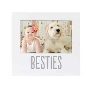 Besties-Sentiment-Frame