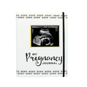 Pregnancy-Journal-main