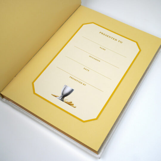 Baby Catholic Bible