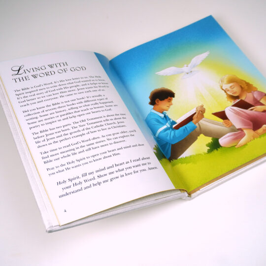 Baby Catholic Bible